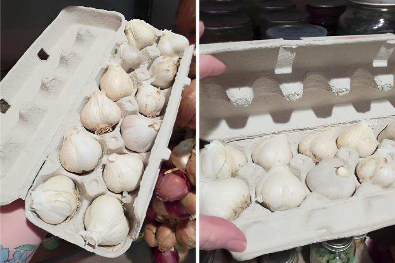 A Gardener Reveals Her Simple Trick to Keep Garlic Fresh for Months
