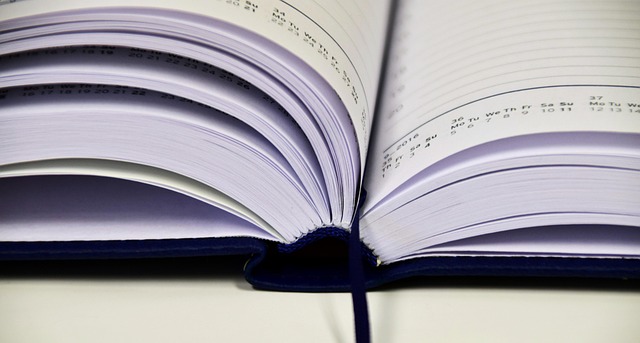 Empty Booking Calendar