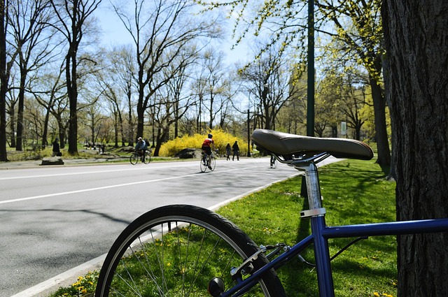 Central Park Bikes