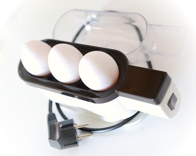 Egg Cooker Gadget