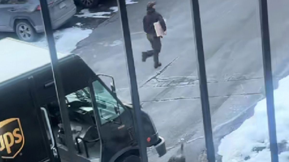 “I Thought Someone Was Fighting Outside”: Woman Films UPS Driver in an Epic Standoff With Turkeys