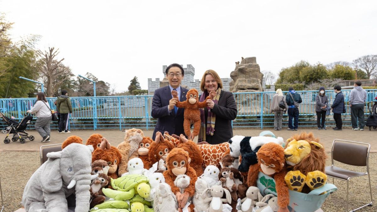 IKEA Donates a Bunch of Plush Toys to the Little Monkey Abandoned by His Mother