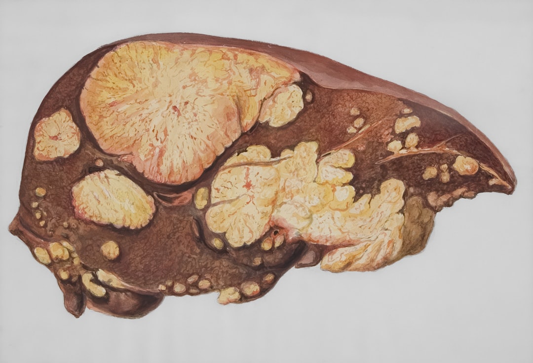 Liver Health Illustration