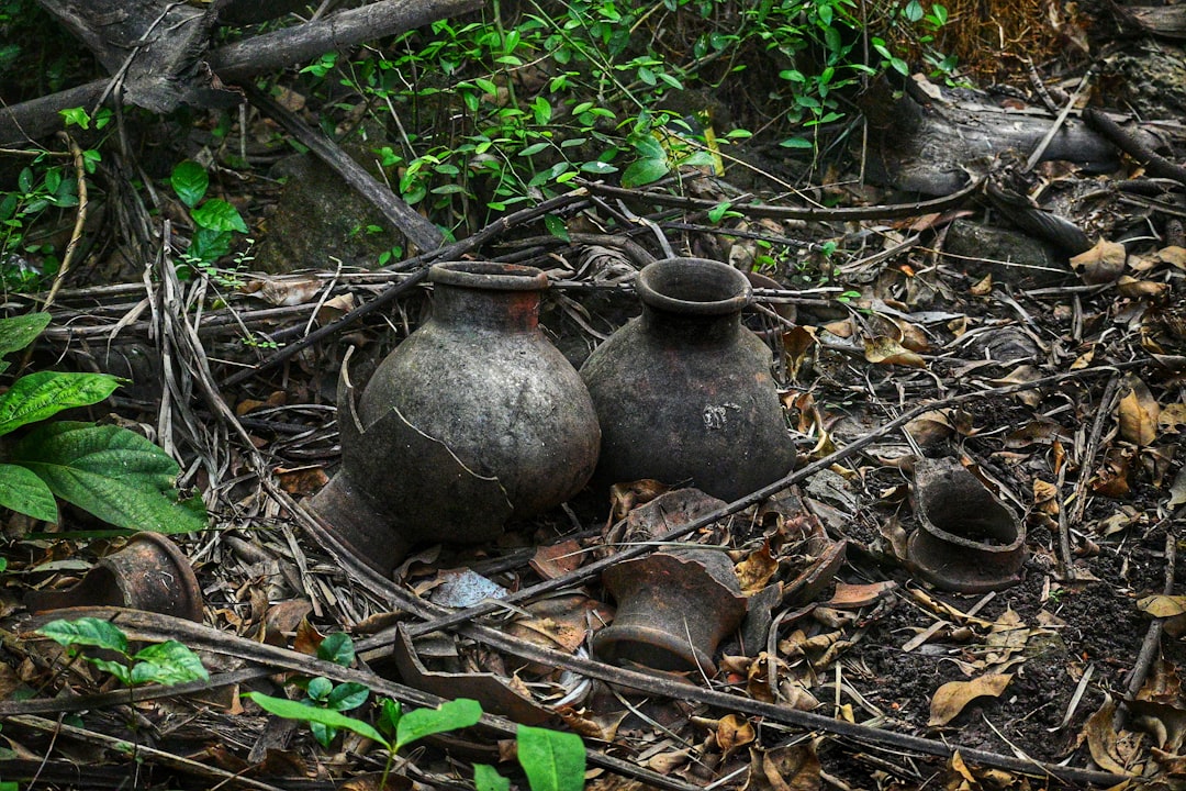 Displaced Garden Objects