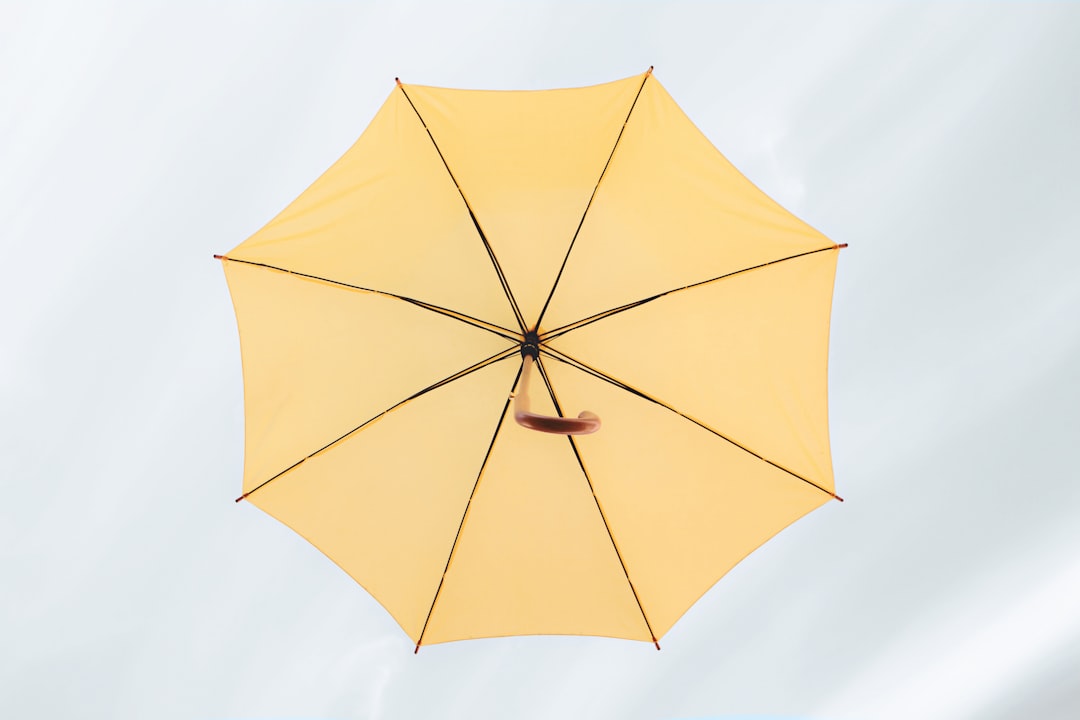 Travel Umbrella Items