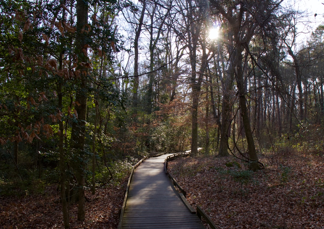 Congaree National Park