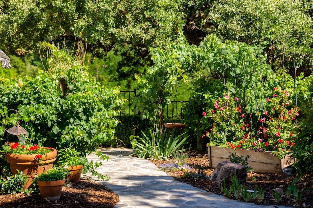 Garden Pathway Design