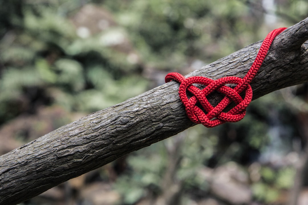 Tangled Hearts Symbol