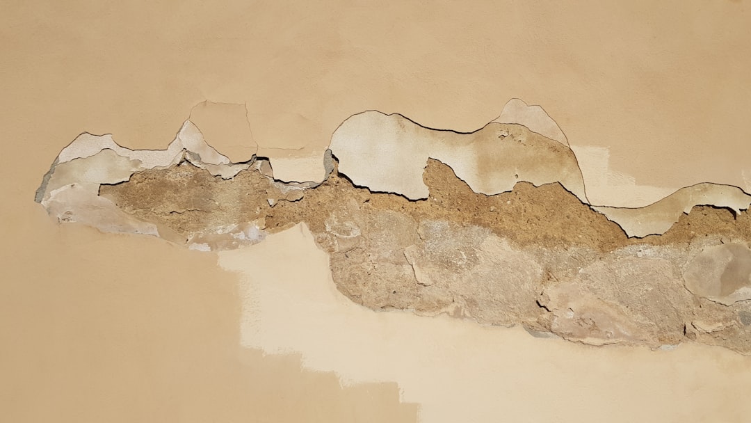 Moisture-Damaged Drywall