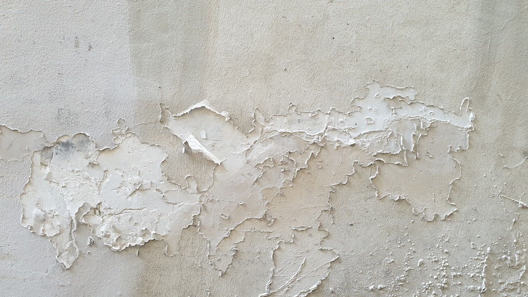 Peeling Wallpaper Sections