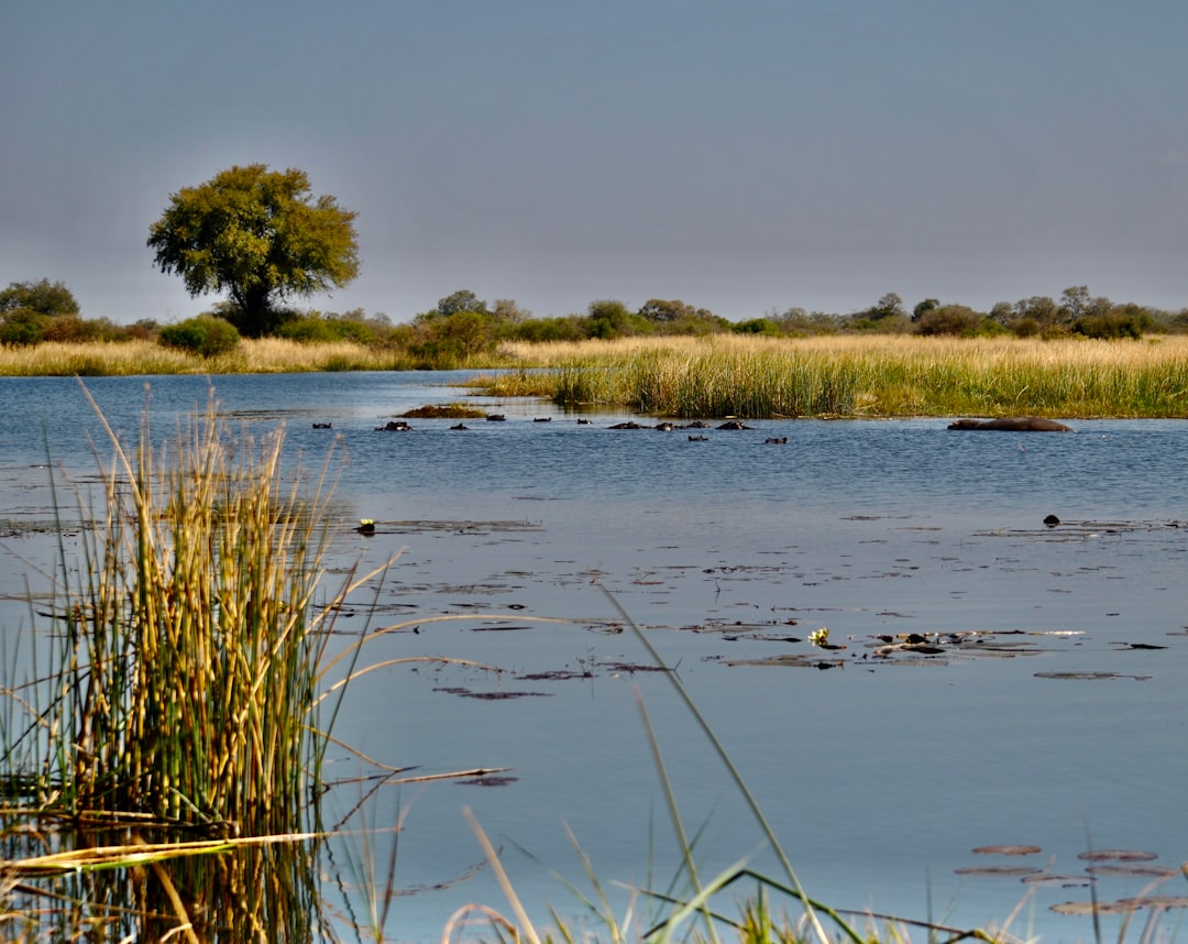 Okavango Delta Wonders