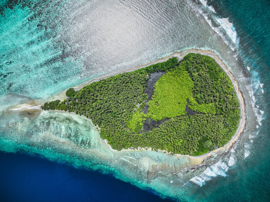 Atoll Of Aldabra Wonders