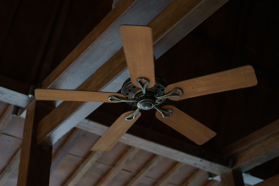 Ceiling Fan Home