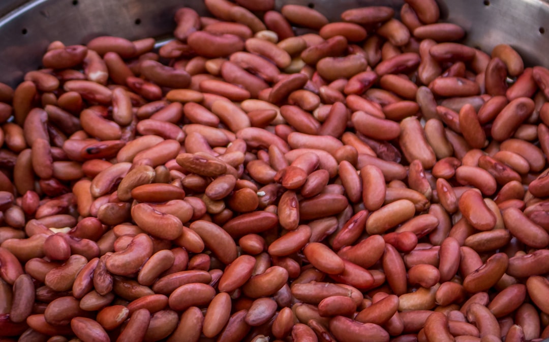 Kidney Beans Ingredient