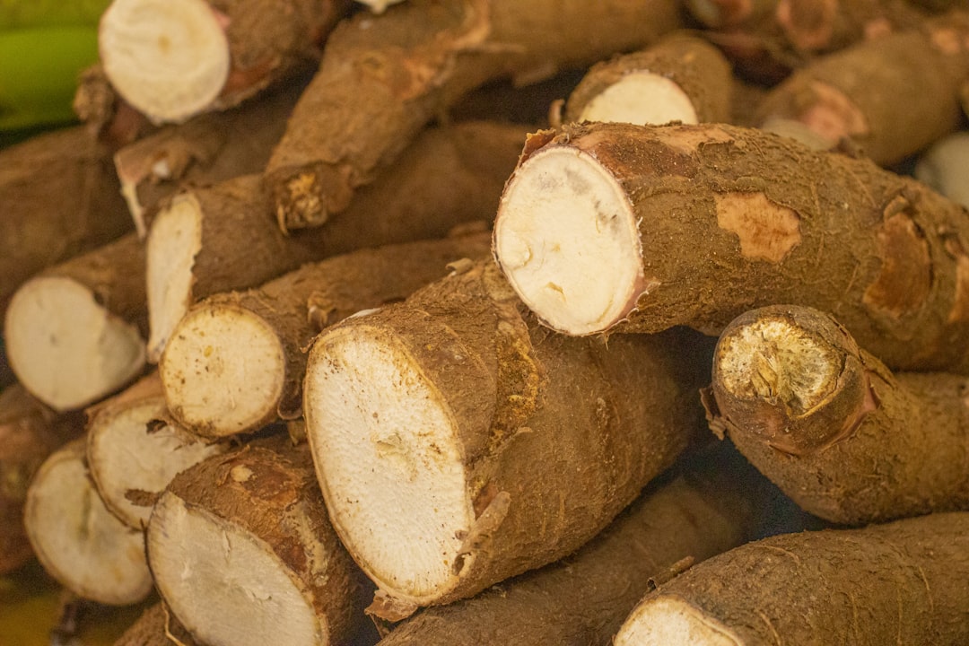 Cassava Ingredients
