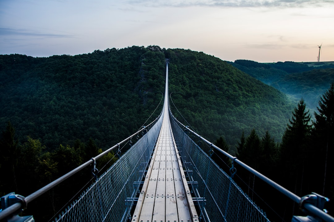  suspension bridge 