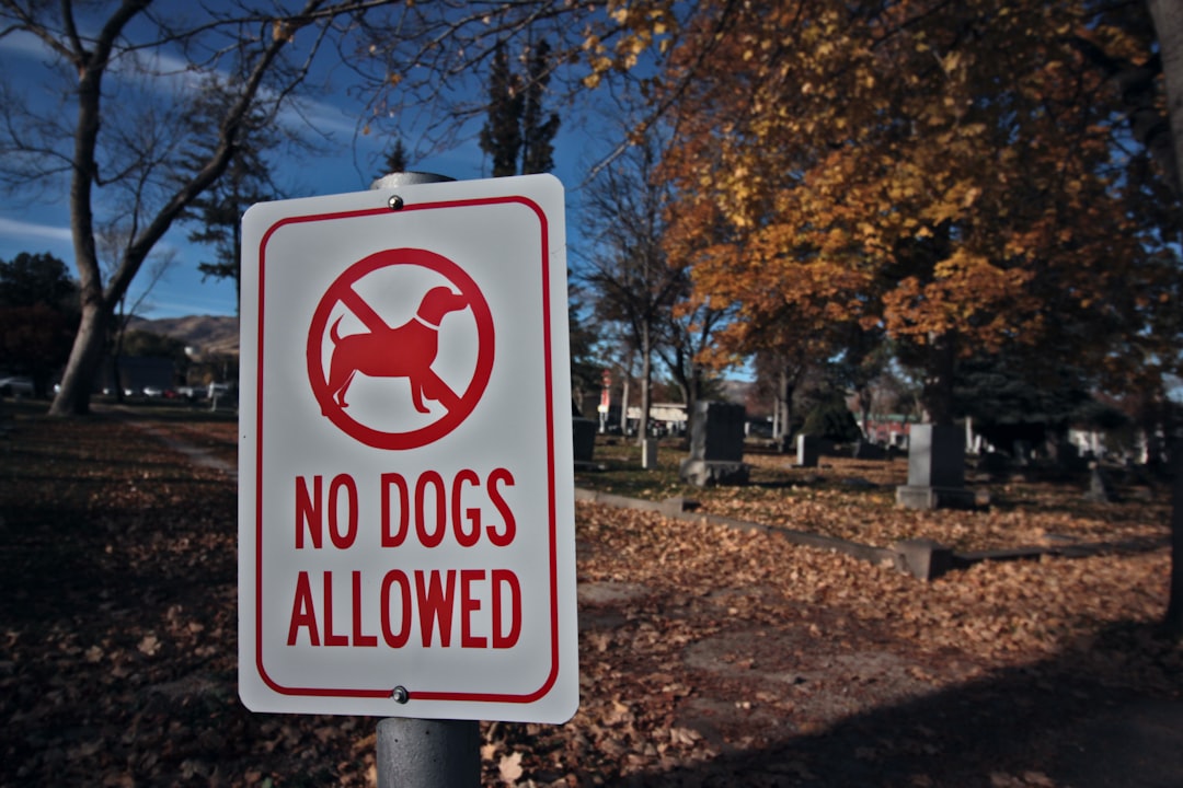 dogs not allowed sign