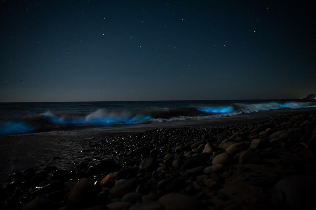 Bioluminescent water