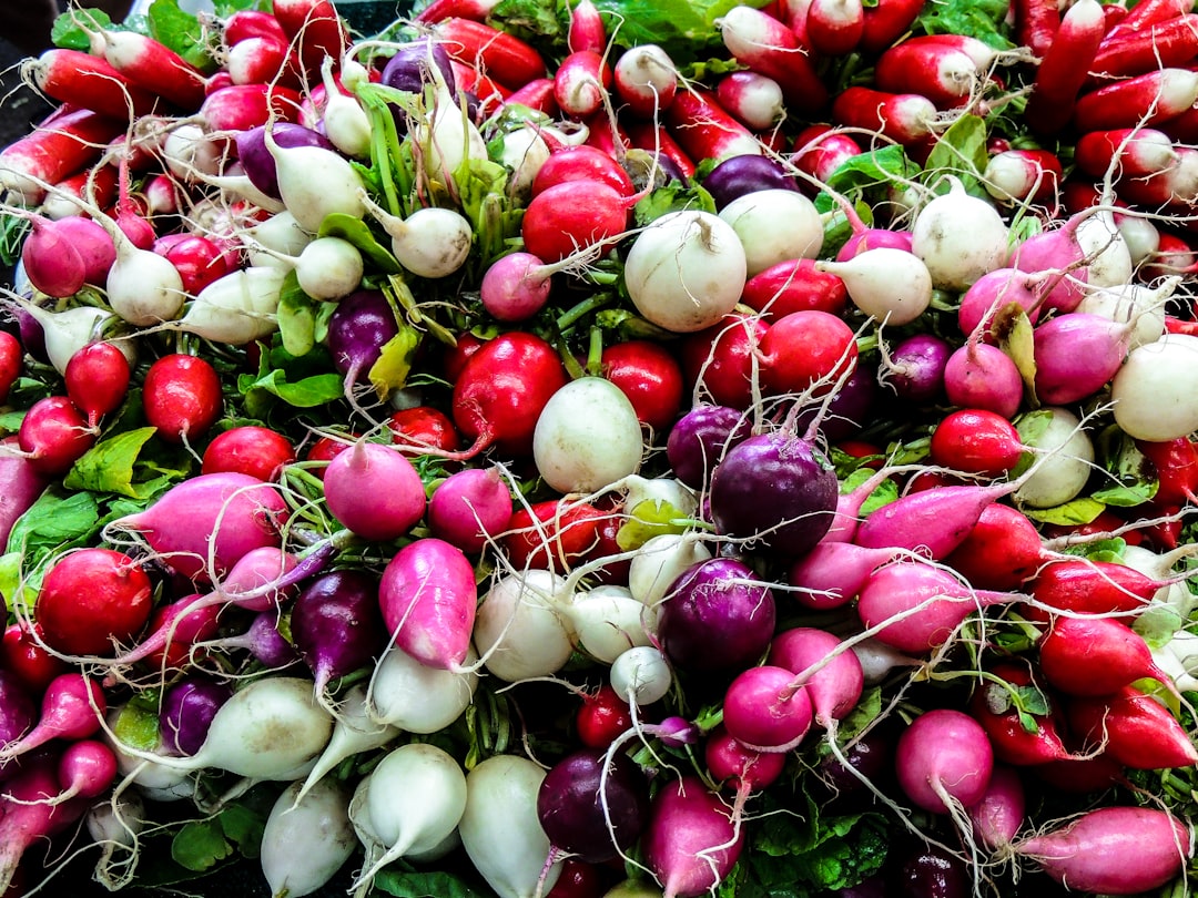 Radishes