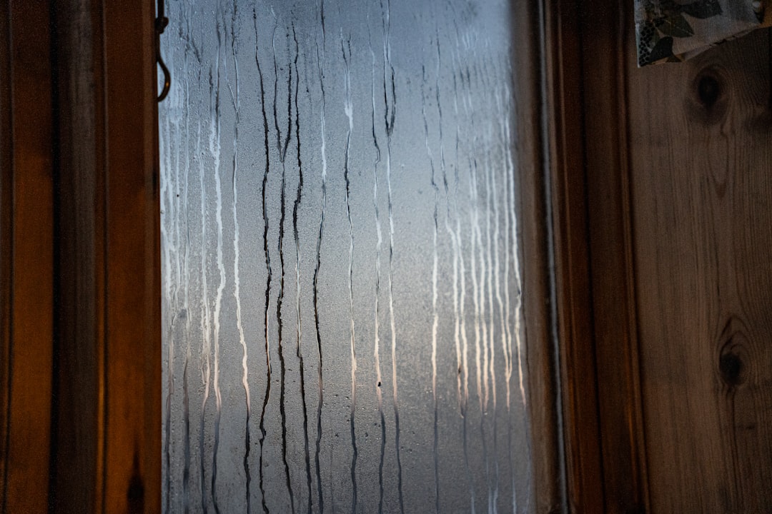 Weatherstripping Window