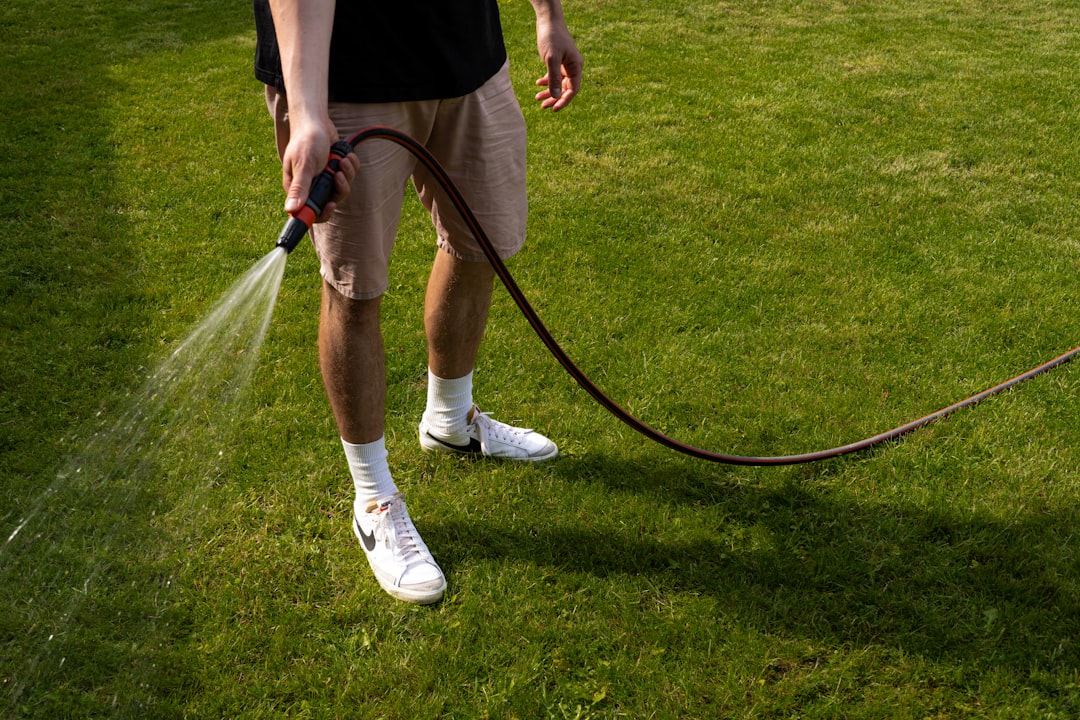 Watering Lawn