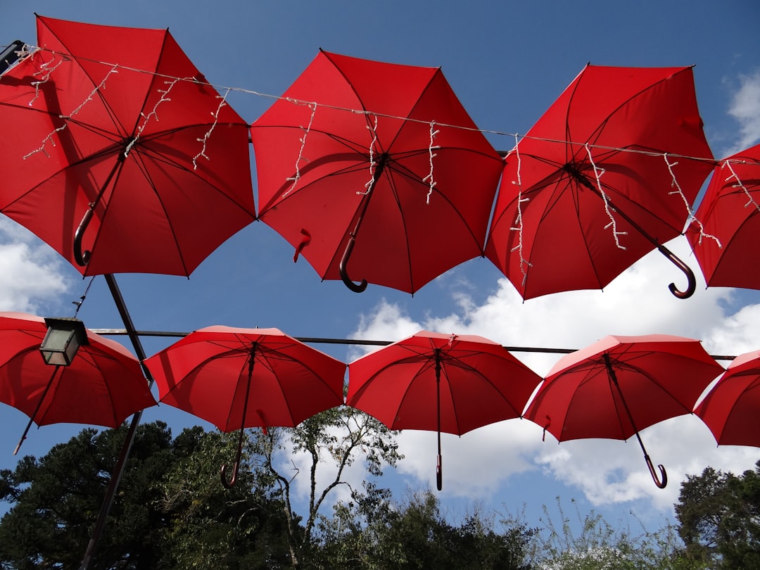 Redundant Umbrellas