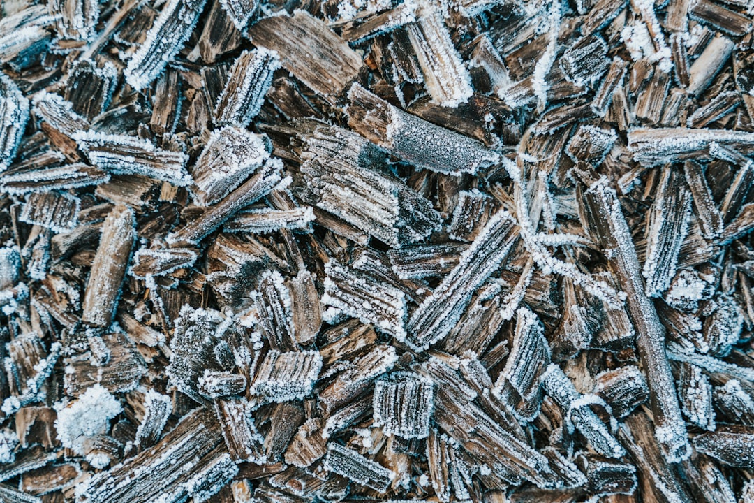Magnesium