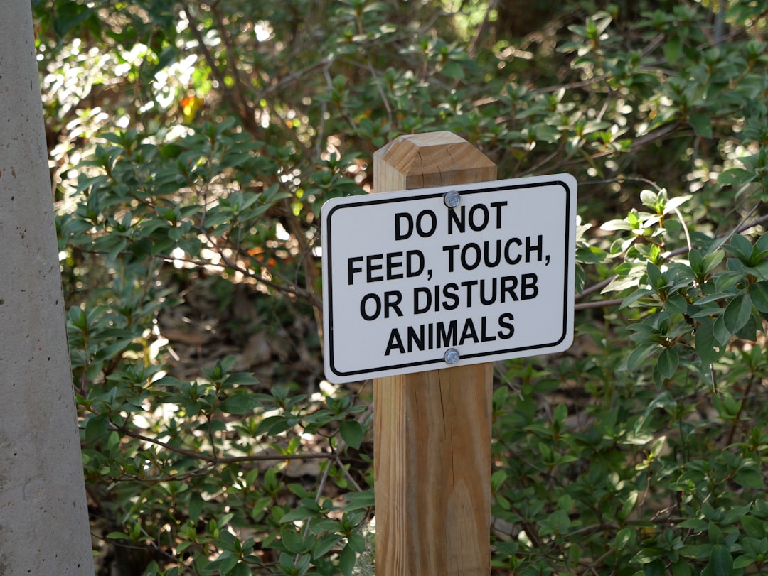 Wildlife Feeding Ban