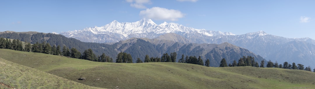 Himalayan 