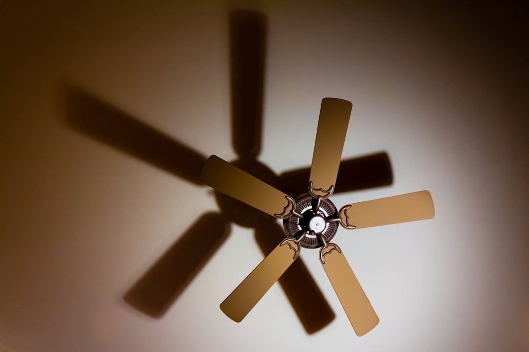 Ceiling Fans