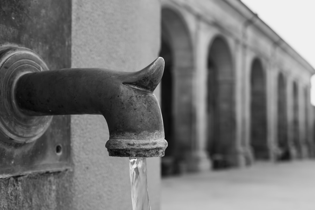 Water Fountain Spigots