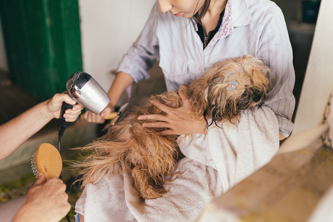 Untreated Skin Dog Groomer