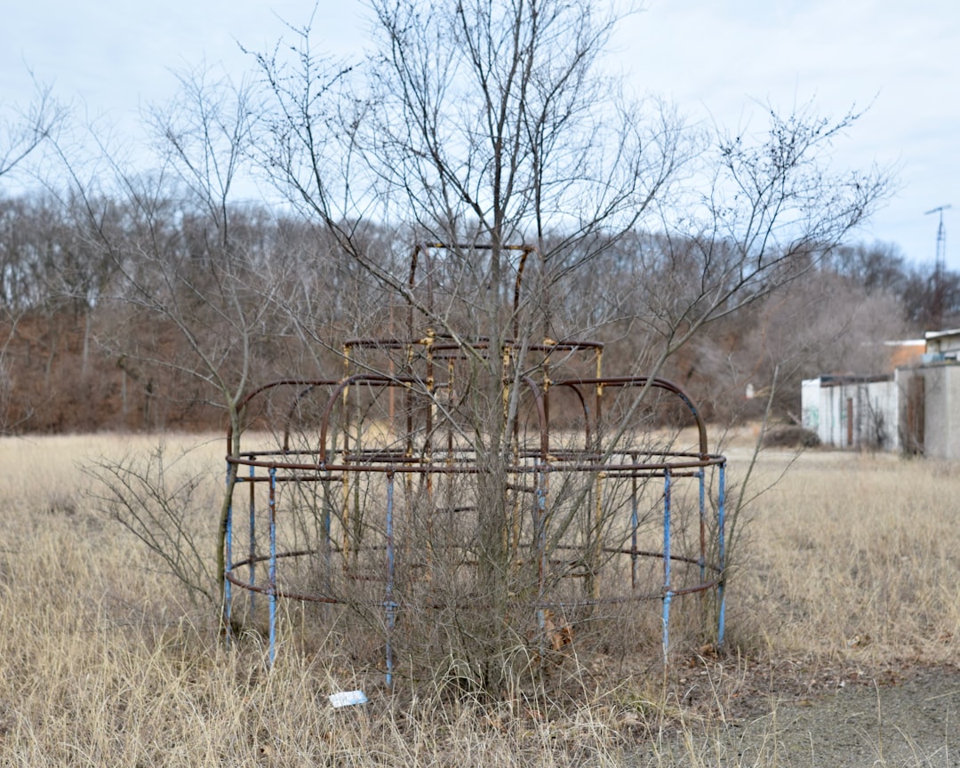 Abandoned Trampoline