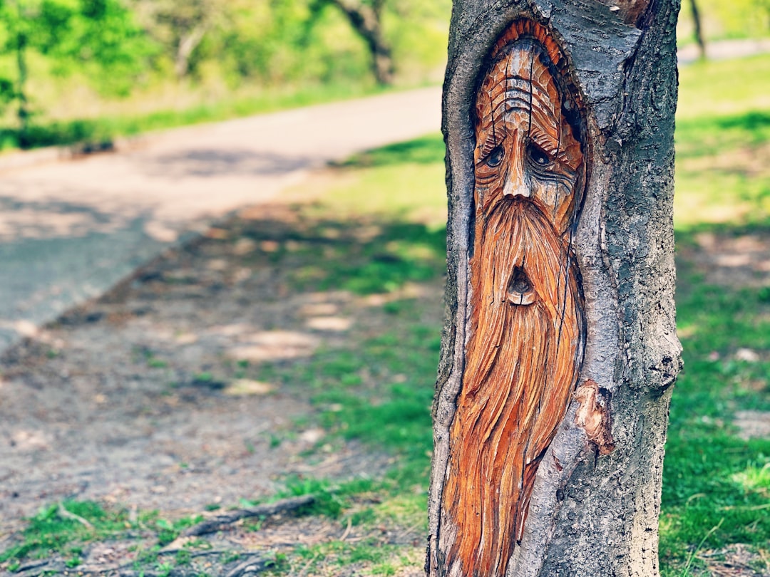 Tree Carving In Park