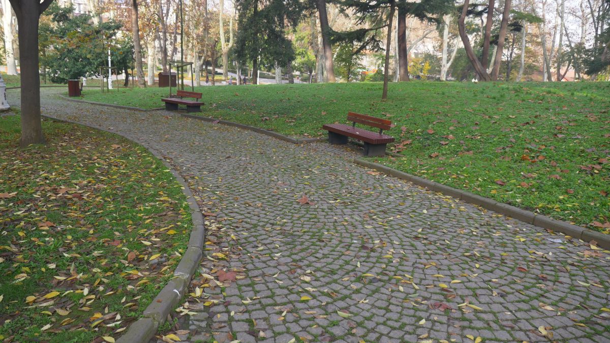 Tacky Things People Do in Public Parks That Guarantee a Massive Fine