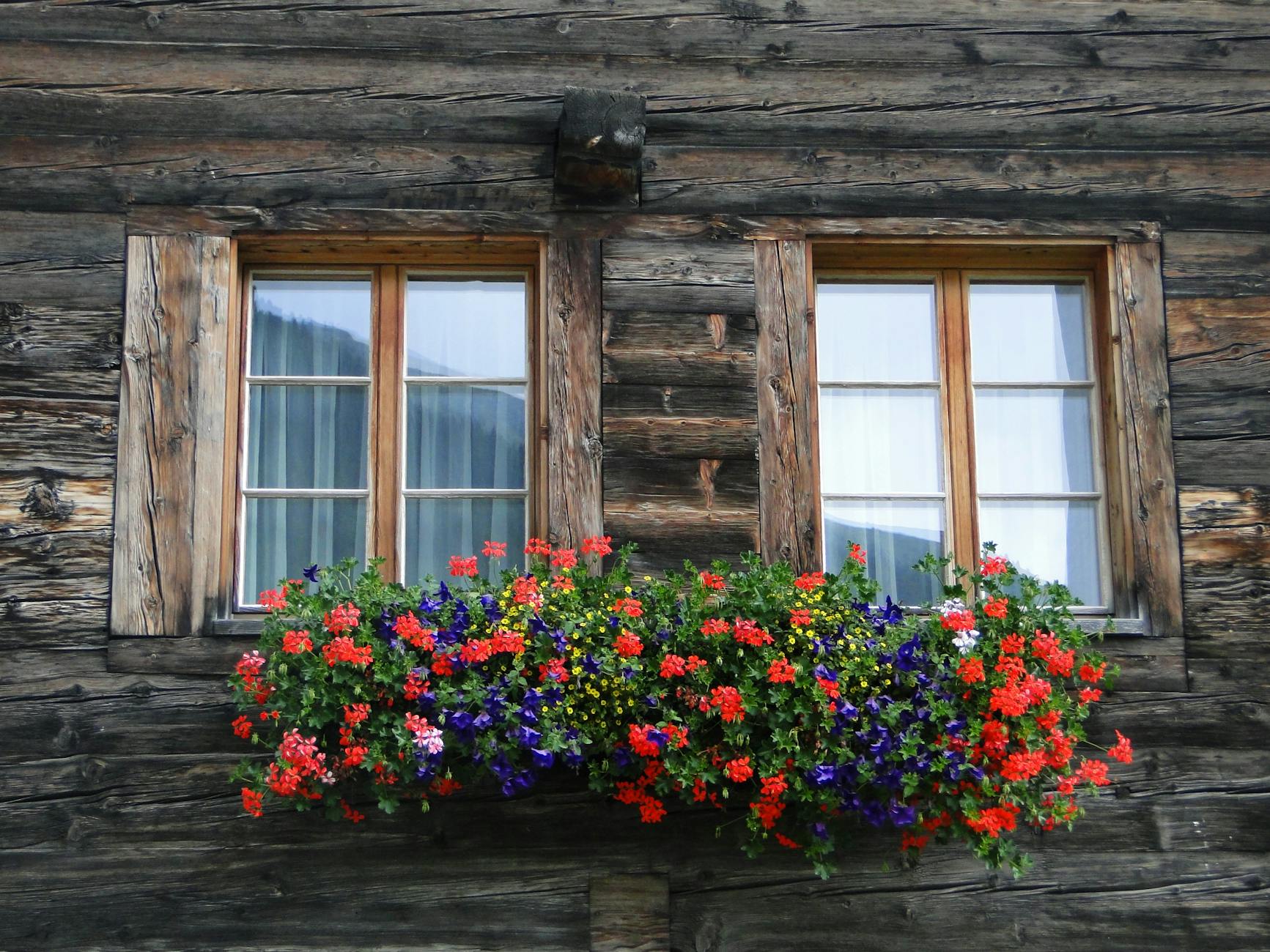 Flower-filled Window Boxes