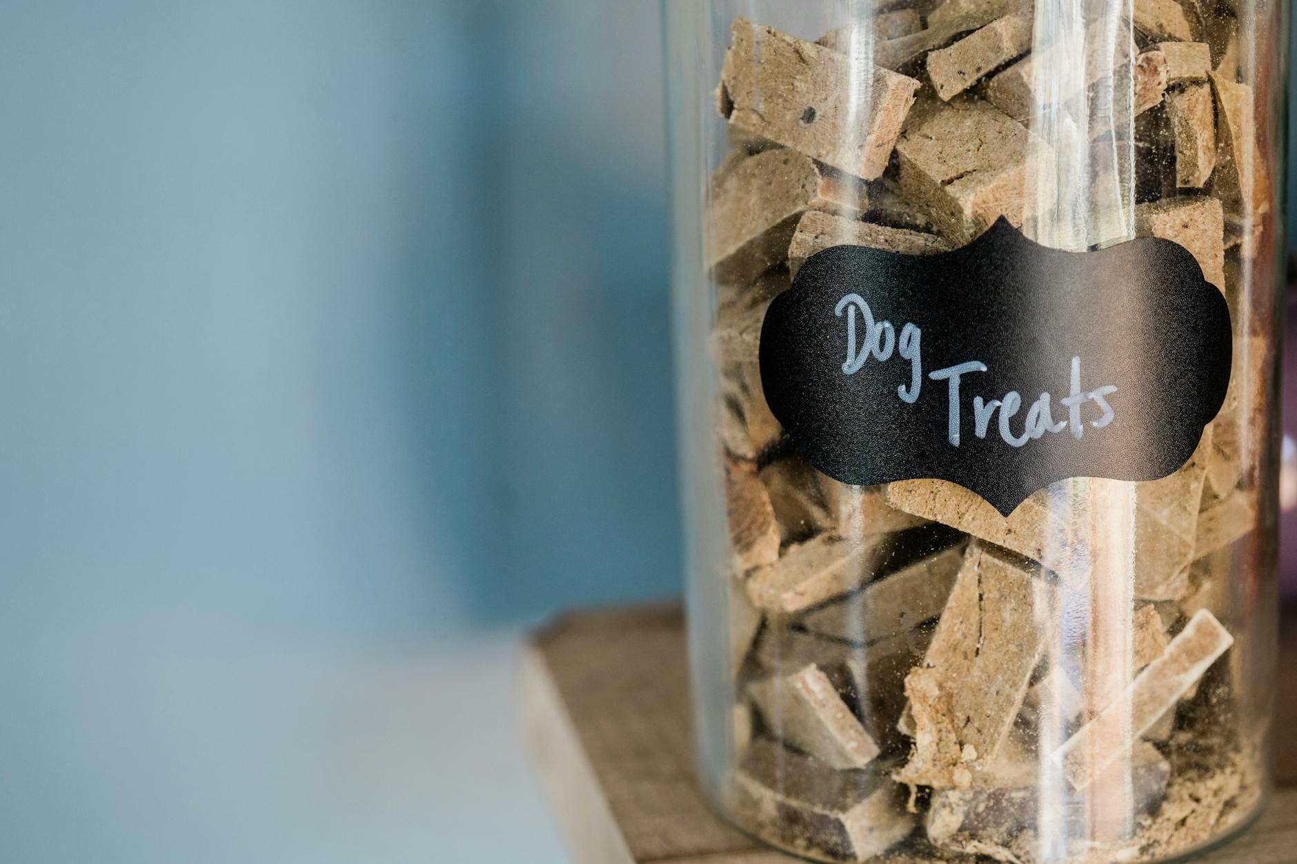 Pet Food Storage