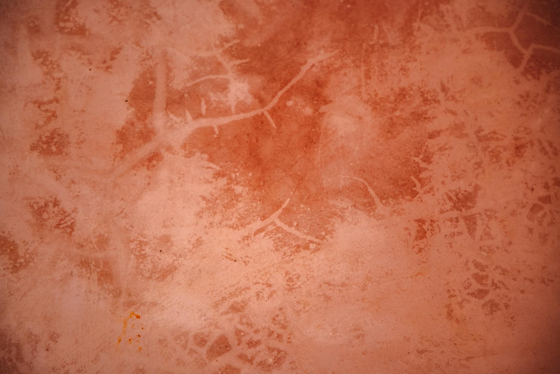 Muted Terracotta Bedroom Color