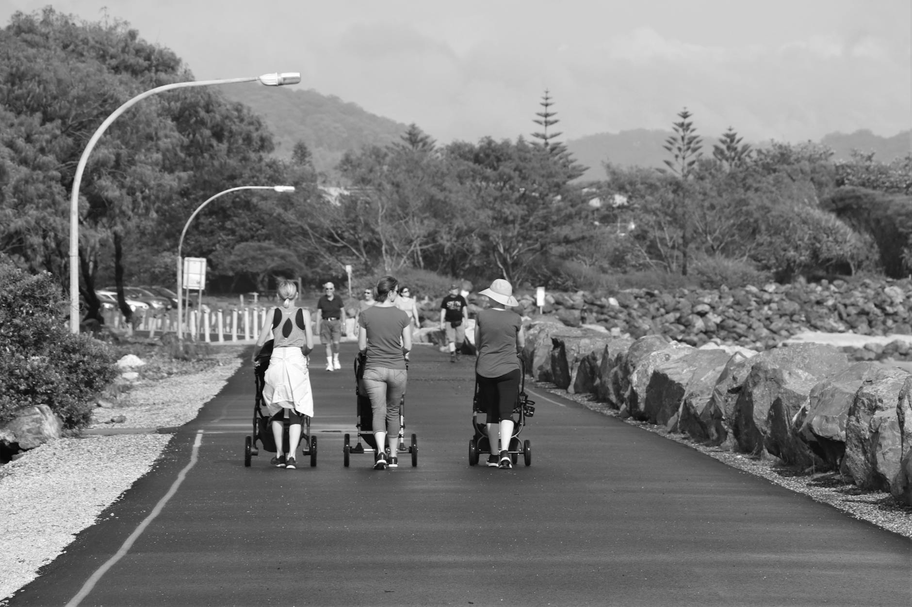 Luxury Strollers Display