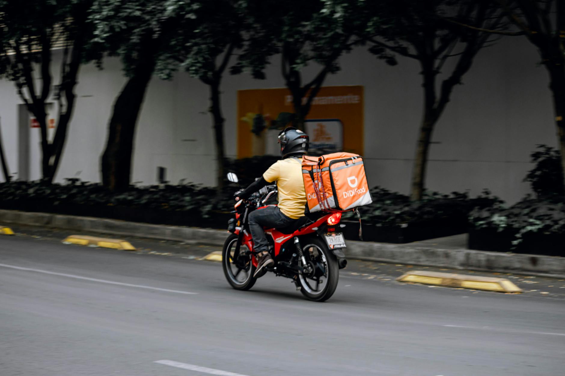 Thermal Bag Food+delivery