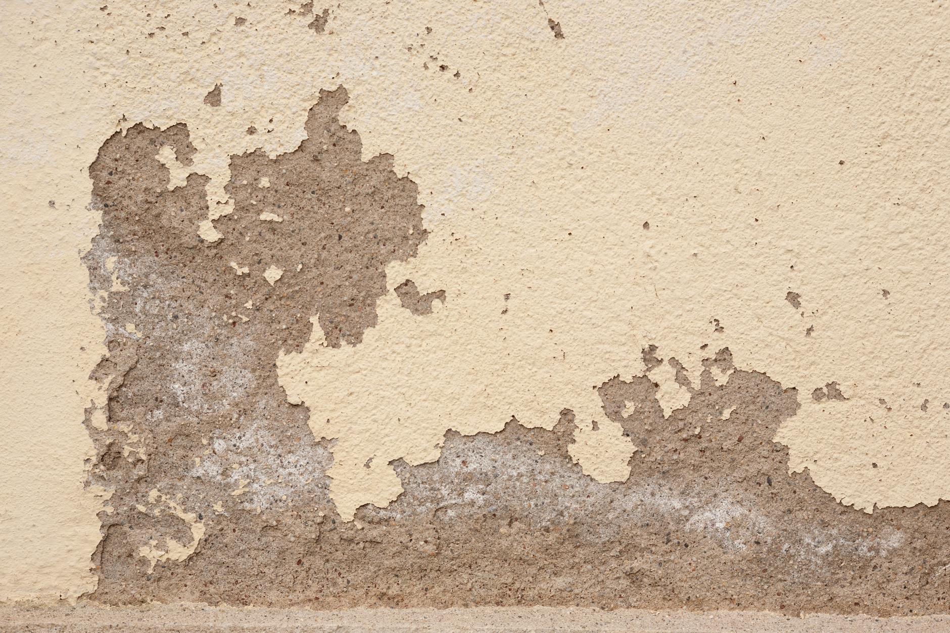 Foundation Home Repair