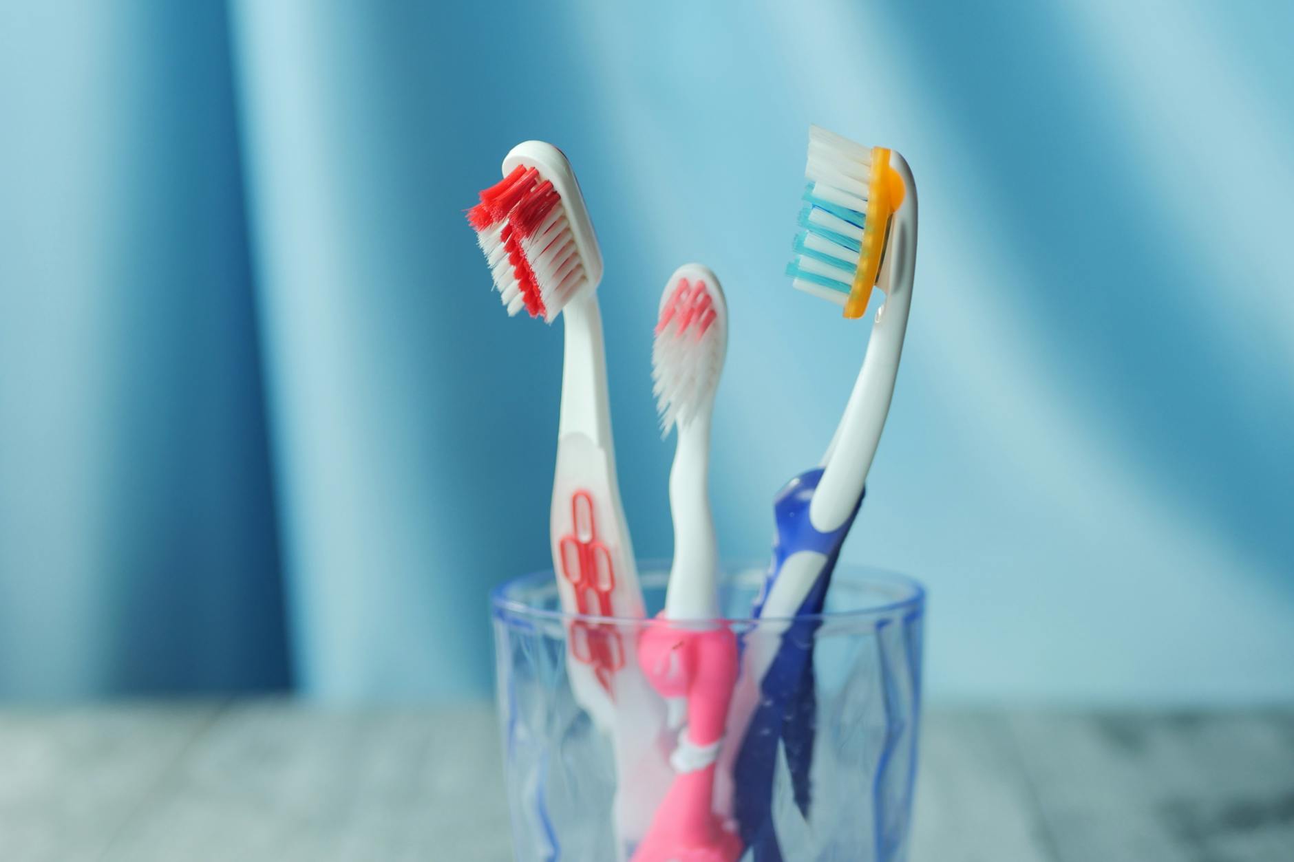 Toothbrush Holders Cleaning