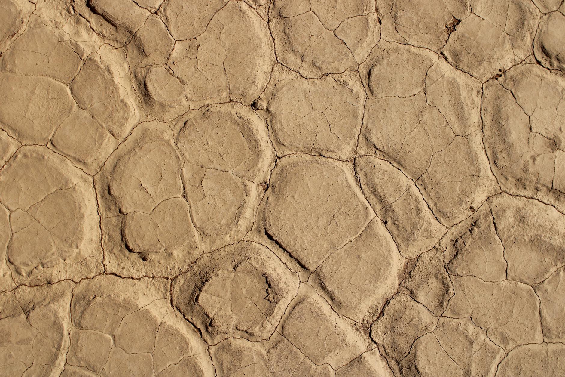 Clay Soil Unawareness