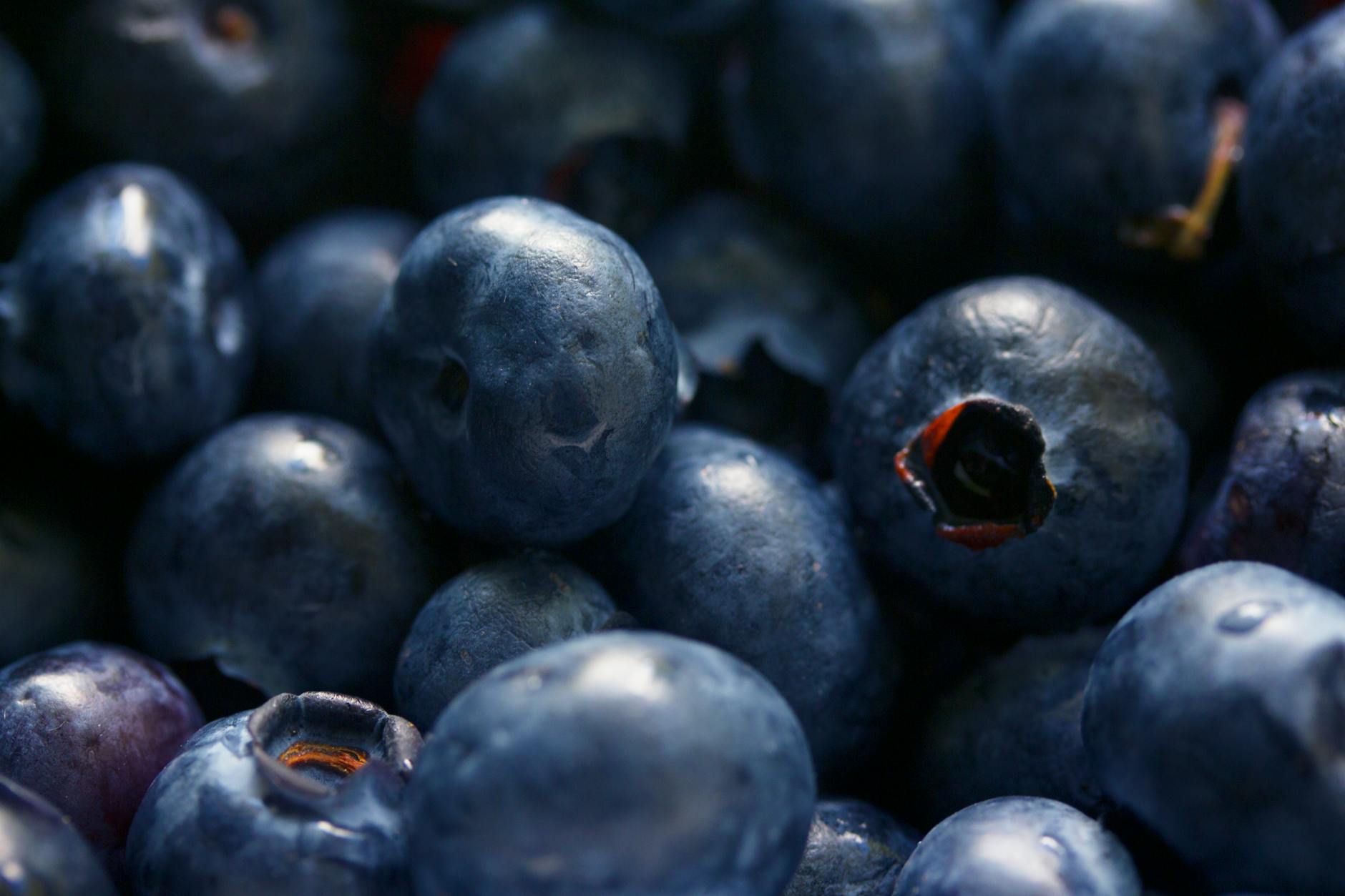 Blueberries Superfood