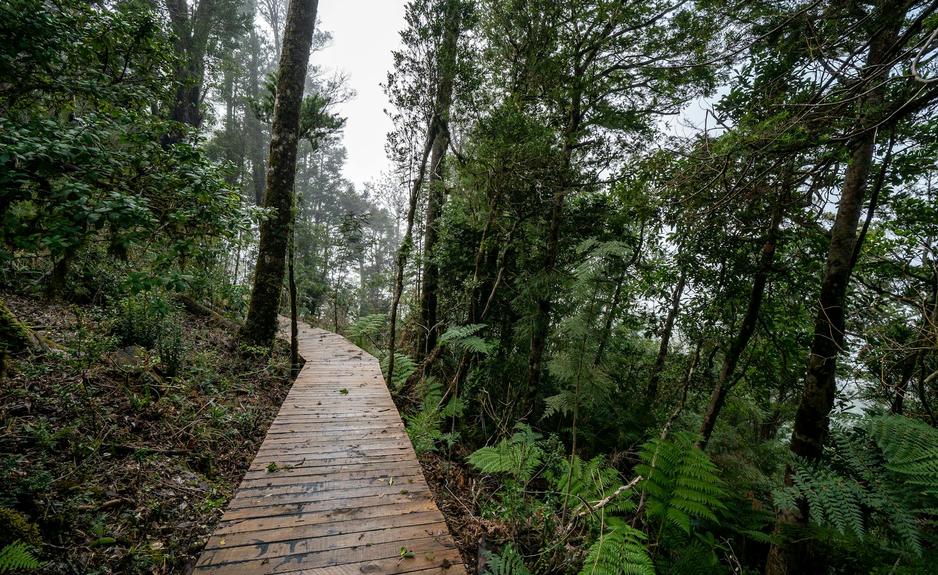 Monteverde Costa Rica