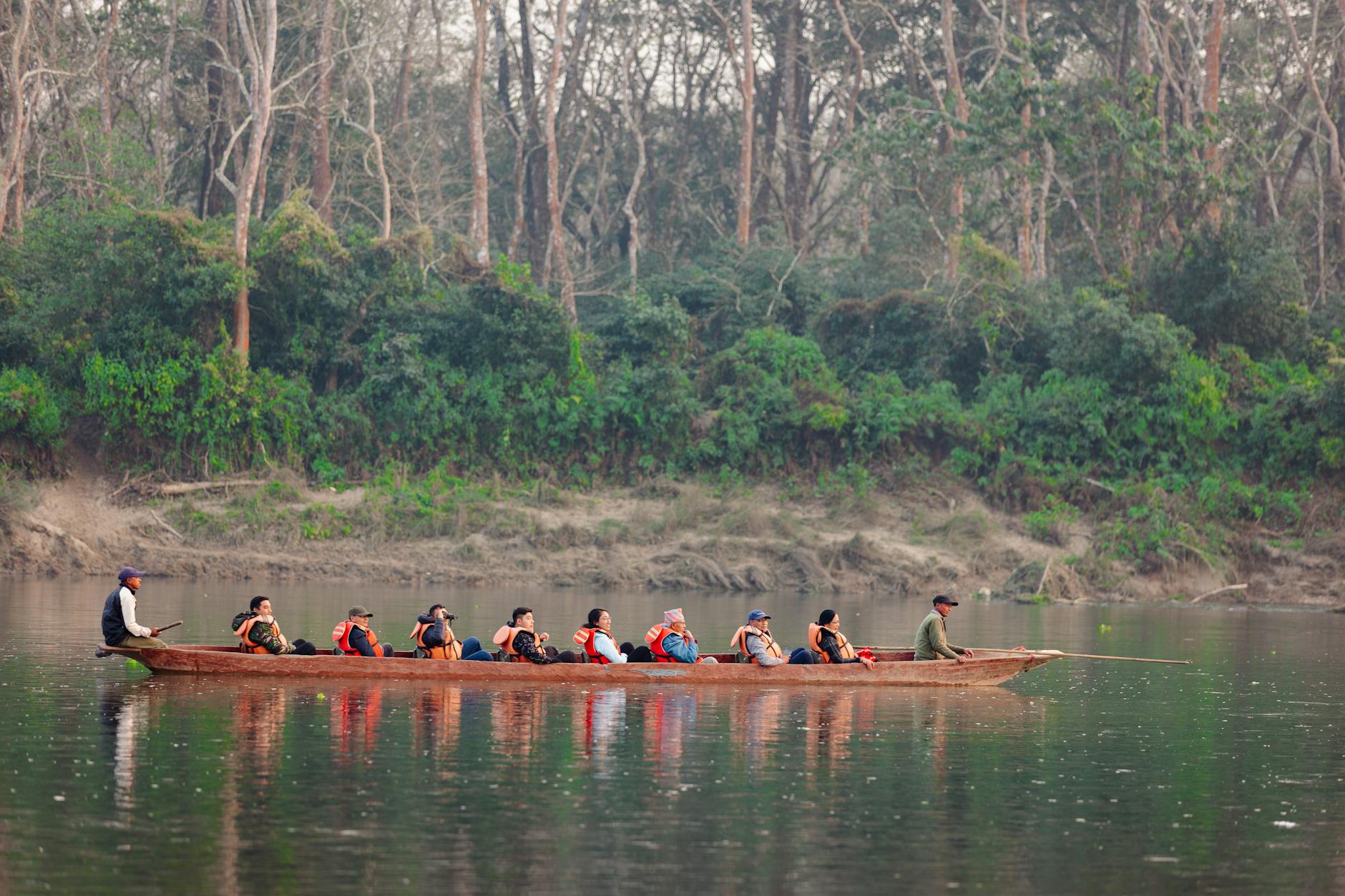 Forest Immersion Experience