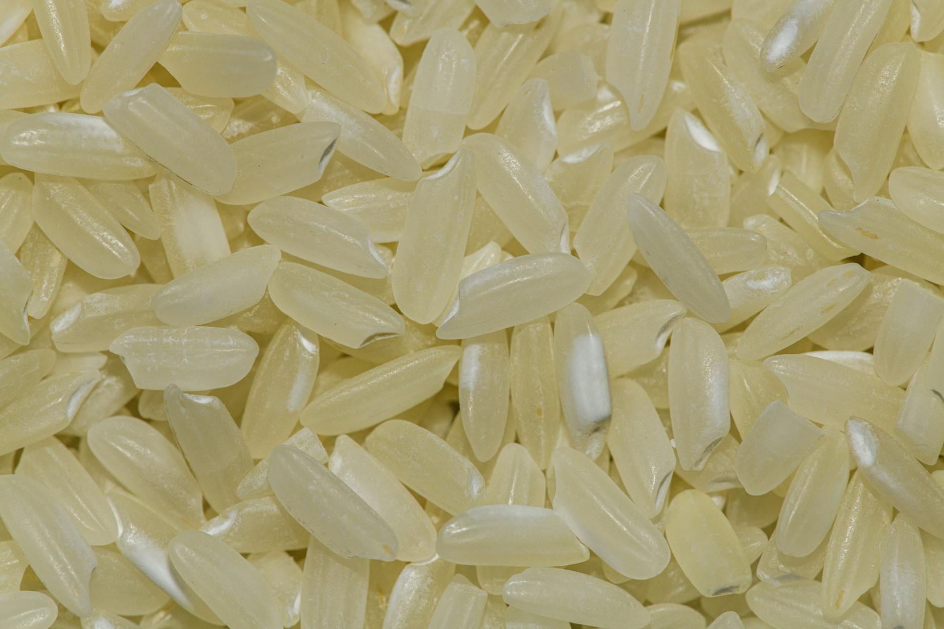 Rice