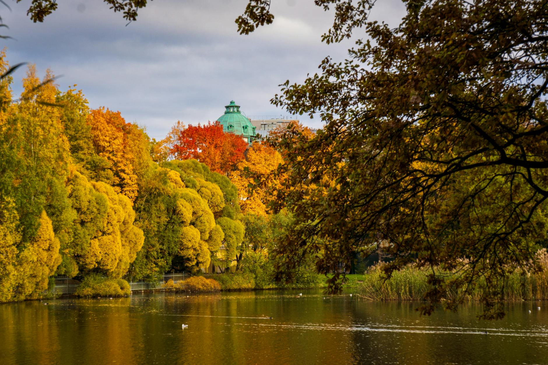 Colorful Autumn Leaves