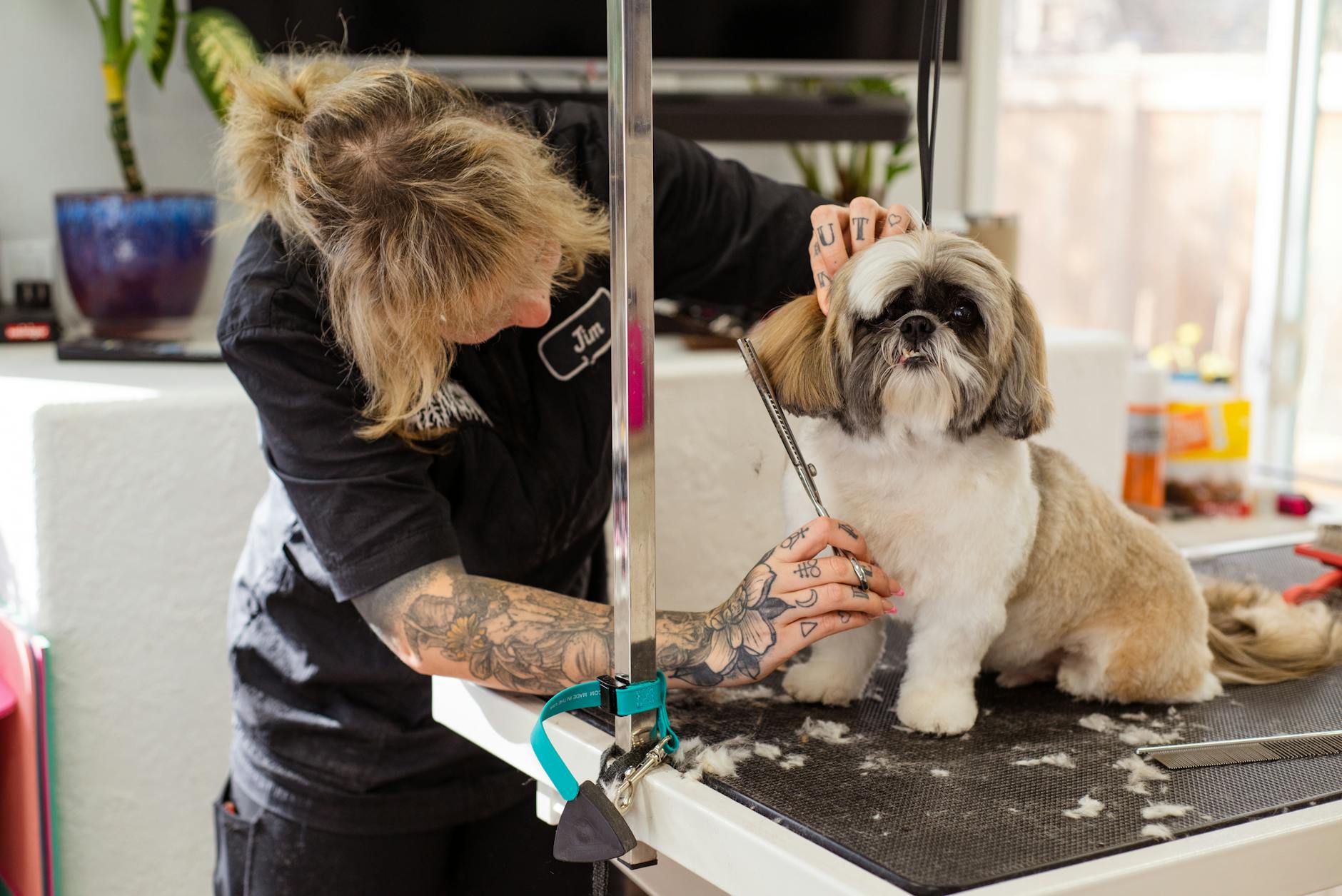 Matted Fur Dog Groomer