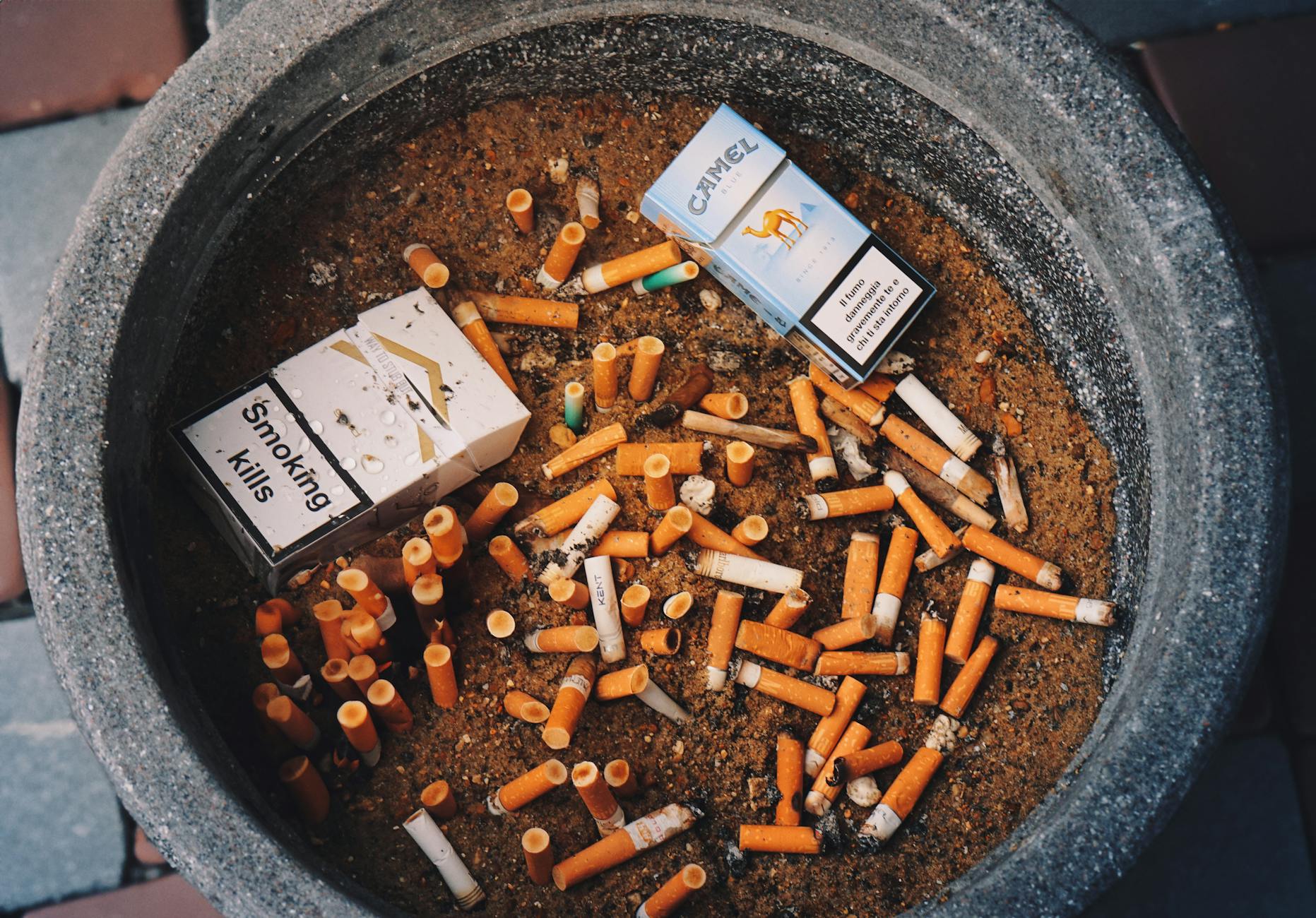 Cigarette Littering Beach